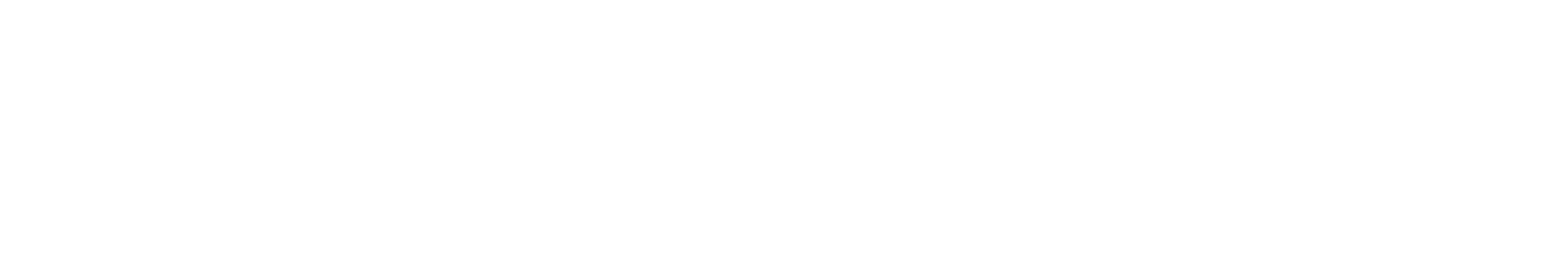 Logo FIER